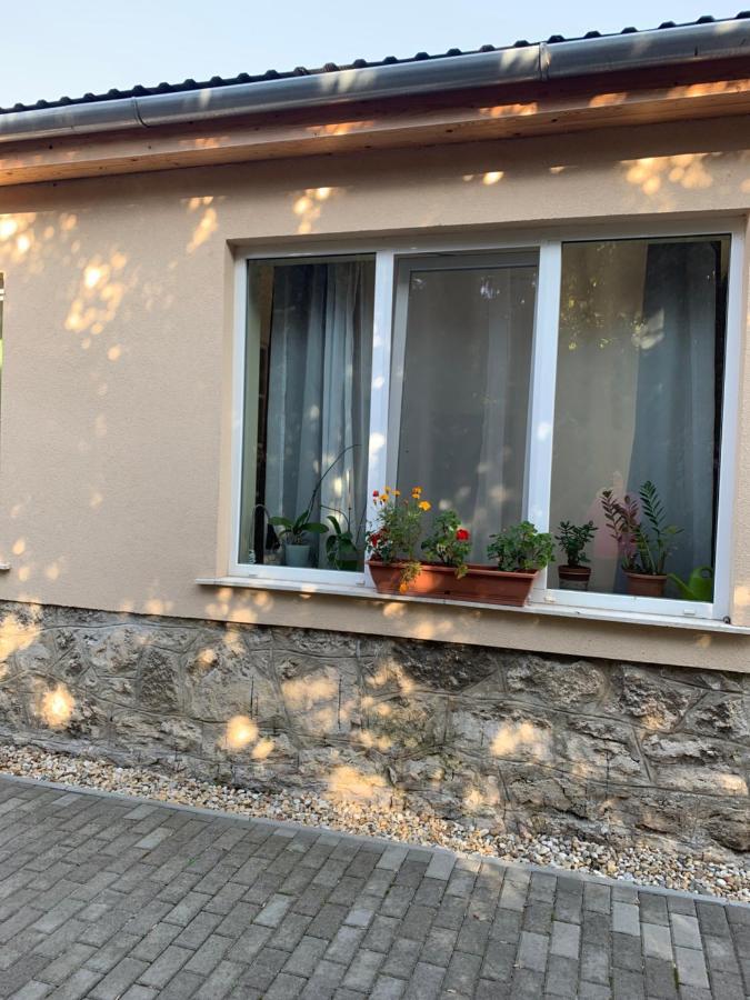 Ferienwohnung Ica Vendeghaz Sutto Exterior foto
